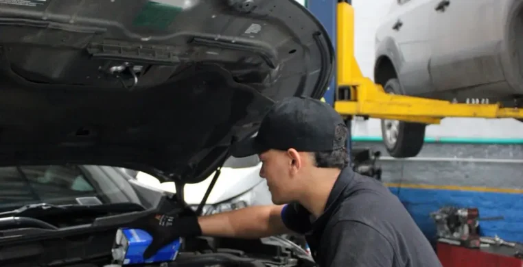 WhatsApp Image 2026-03-18 at 08.30.35 (2)